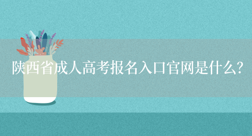 陕西省成人高考报名入口官网是什么？
