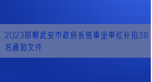 2023邯郸武安市政府系统事业单位补招38名通知文件