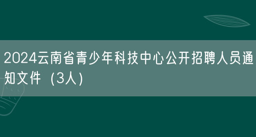 2024云南省青少年科技中心公开招聘人员通知文件（3人）